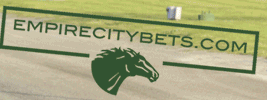 Empire City Bets logo